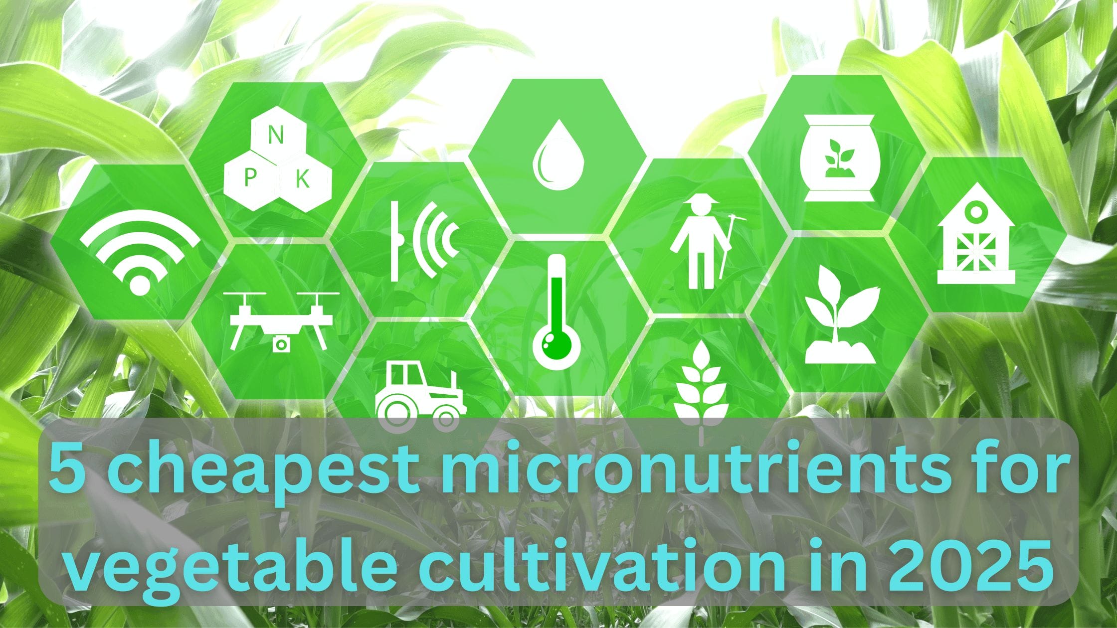 best micronutrients for plants