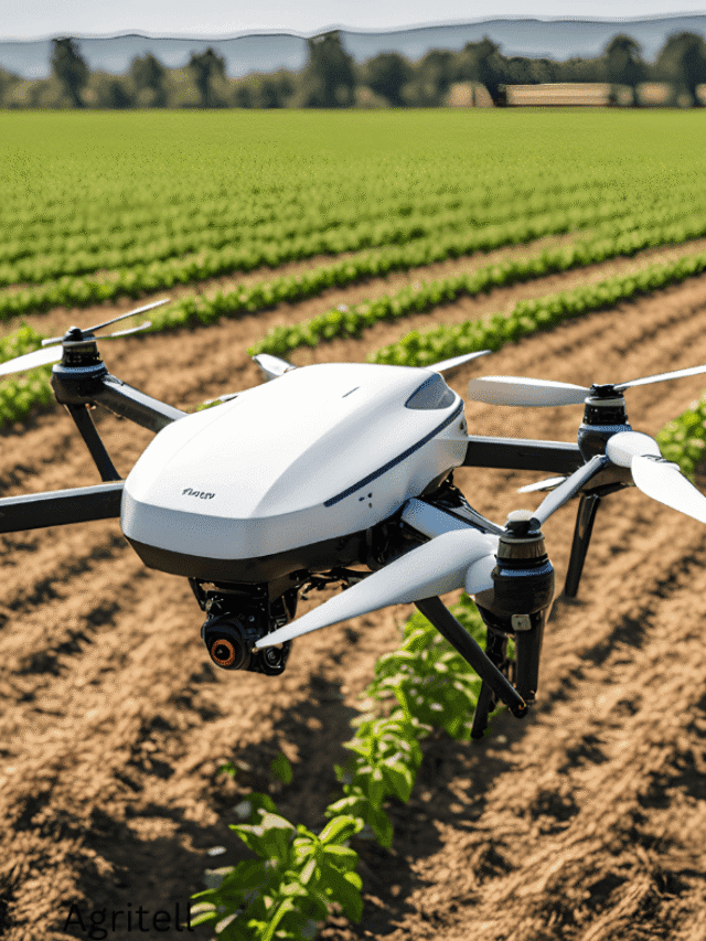 Revolutionizing Agriculture: How Drone Technology is Transforming Farming