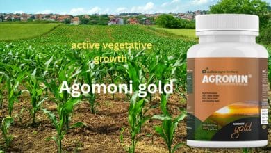 Aries Agromin Gold