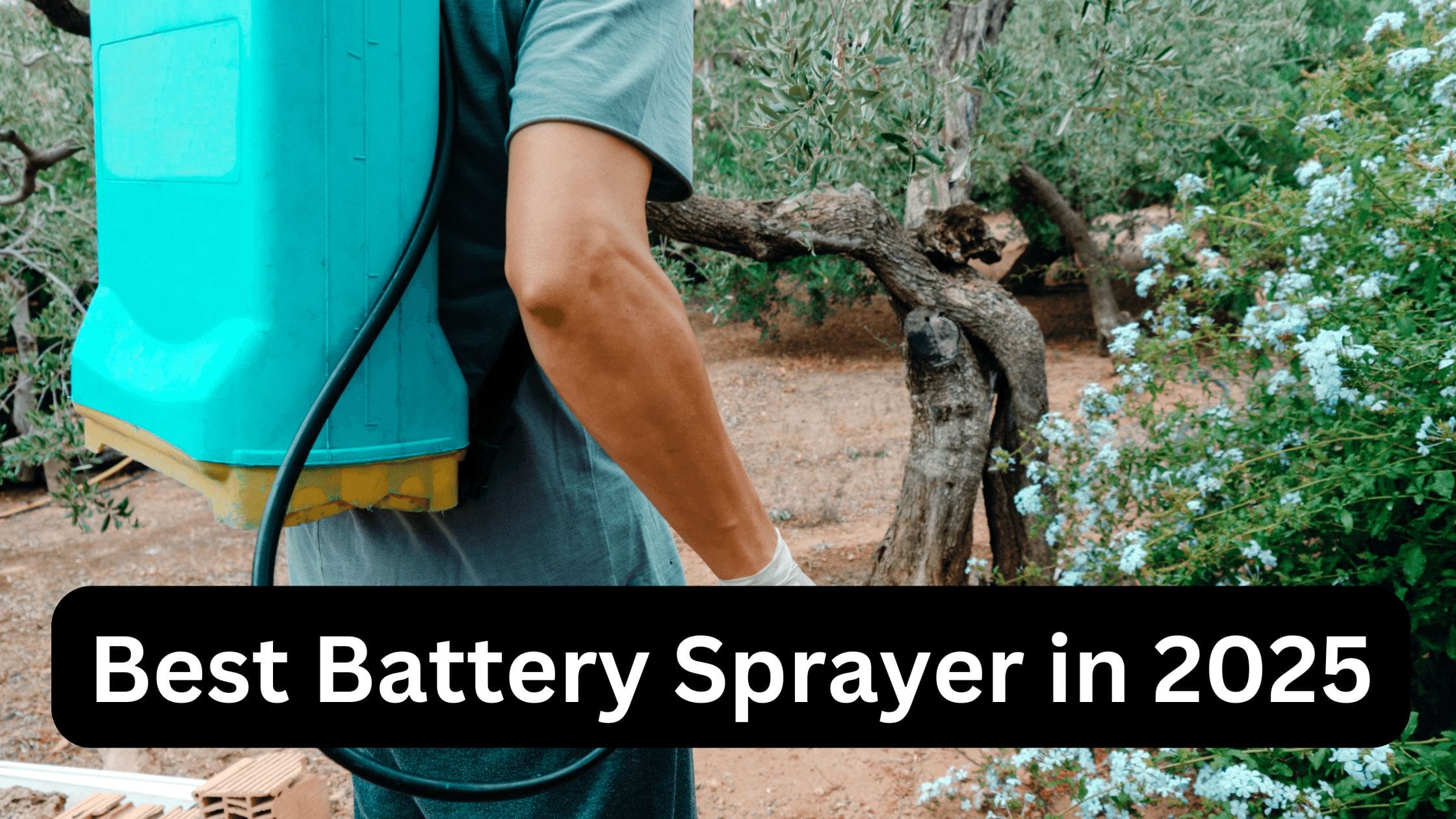 Best Battery Sprayer in 2025