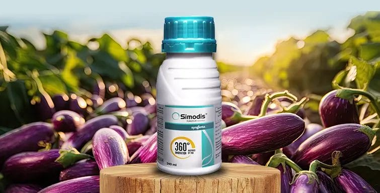 syngenta simodis insecticide