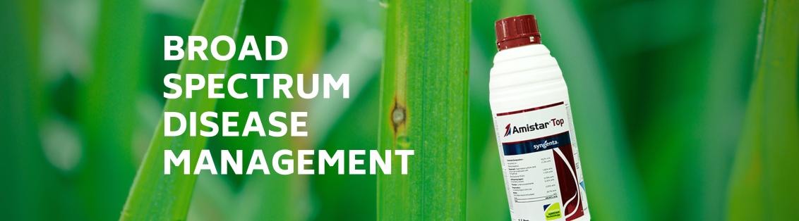 Syngenta Amister Top Fungicide