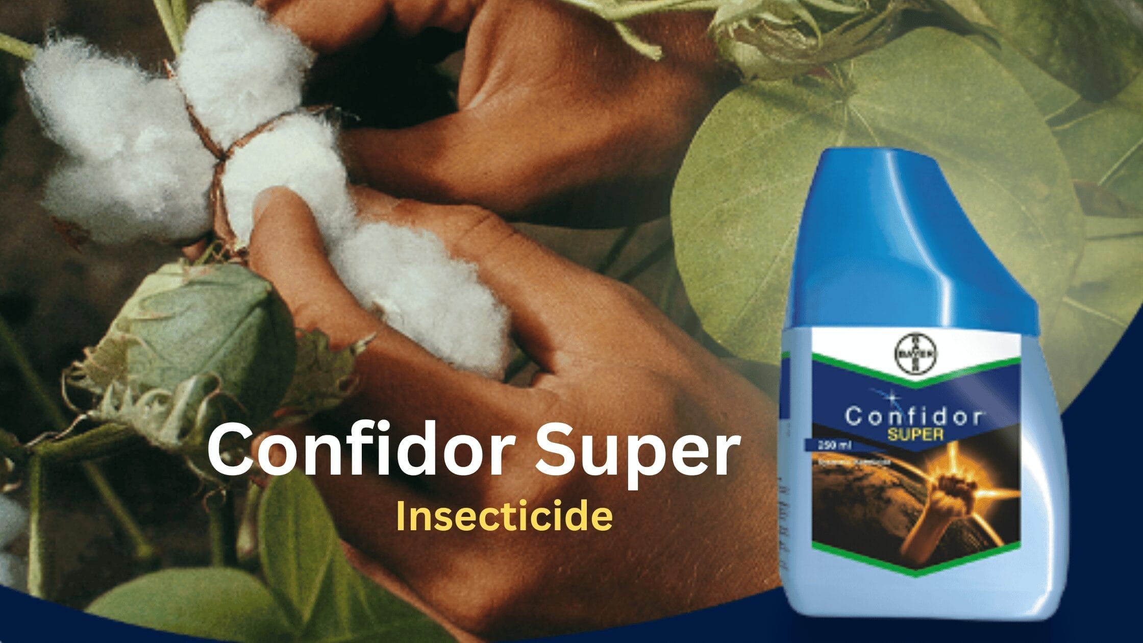 confidor super insecticide