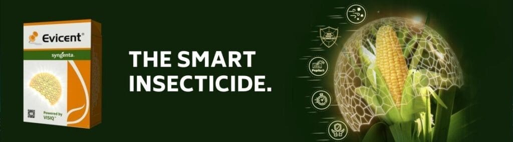 syngenta evicent insecticide