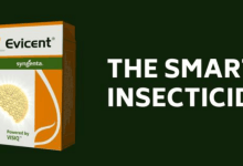 evicent insecticide