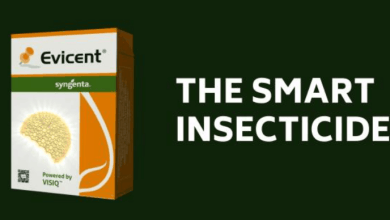 evicent insecticide