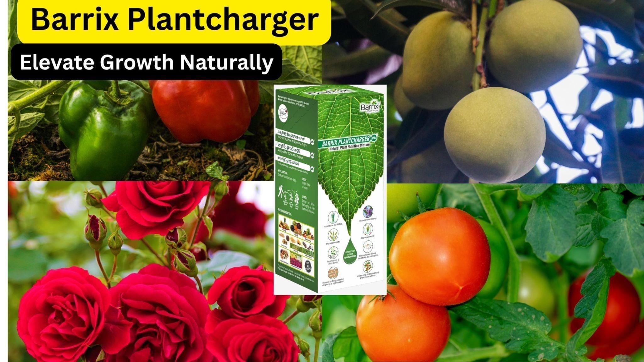 Barrix Plant Charger