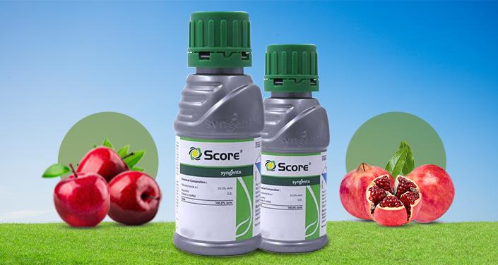 score fungicide
