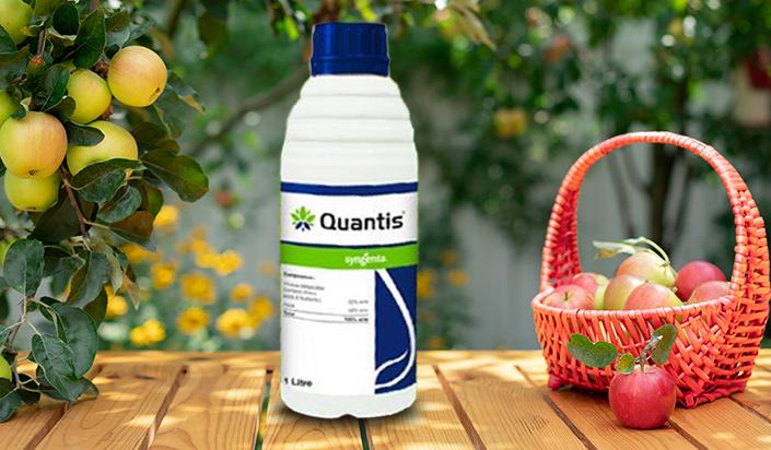 Syngenta Quantis