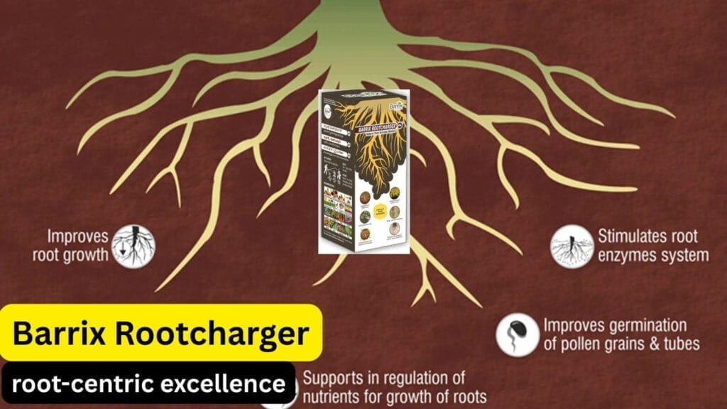 rootcharger Barrix