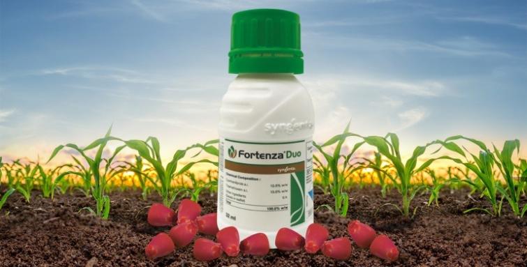 Syngenta fortenza due