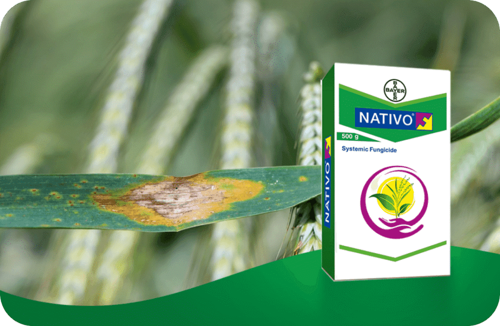 nativo fungicide
