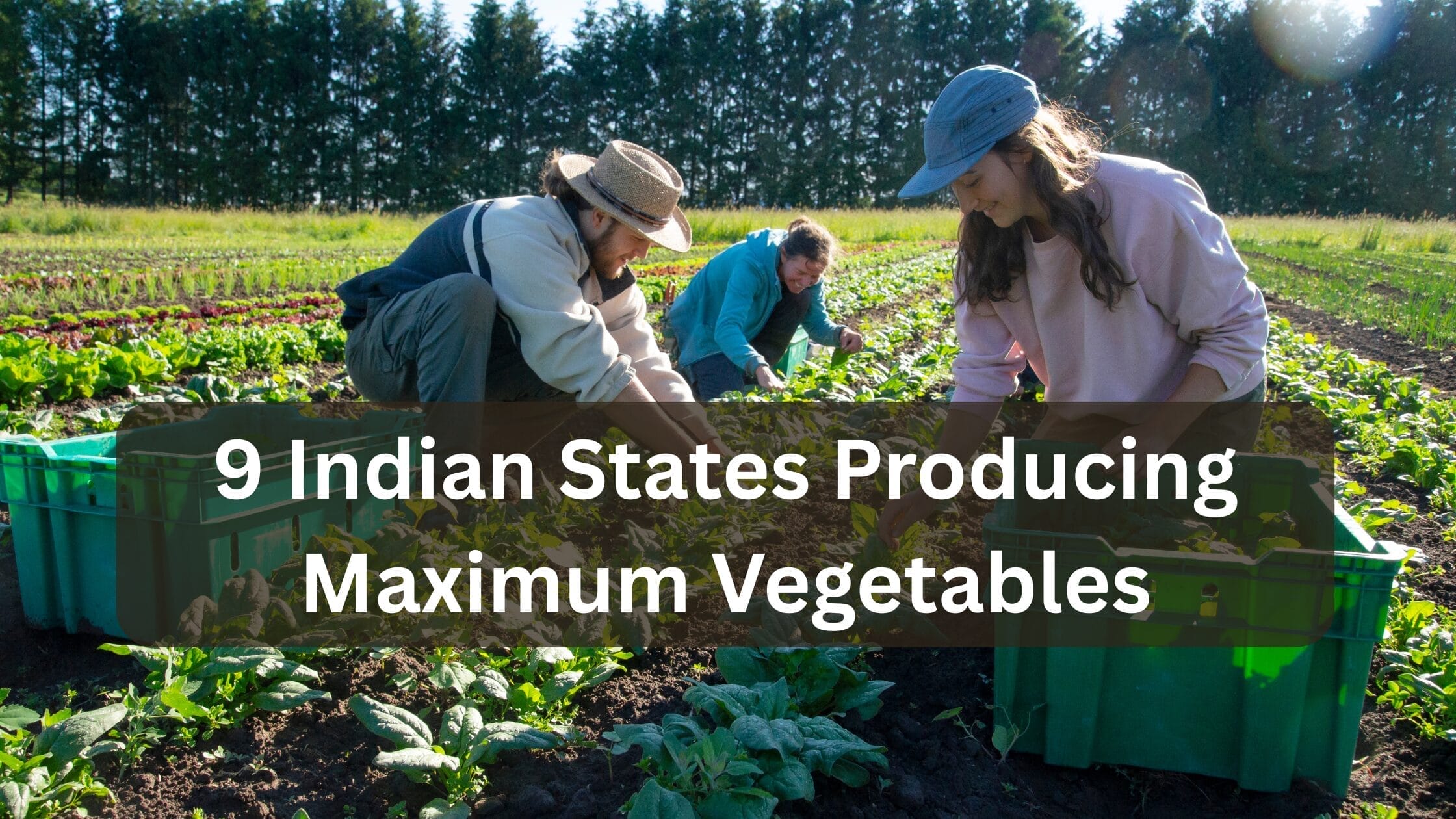 9 Indian States Producing Maximum Vegetables