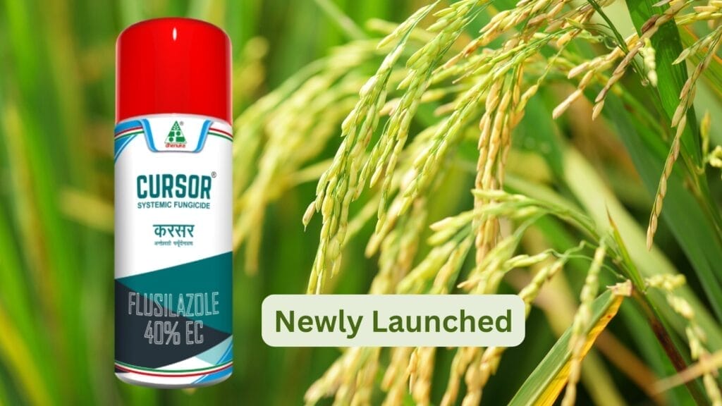 Cursor fungicide