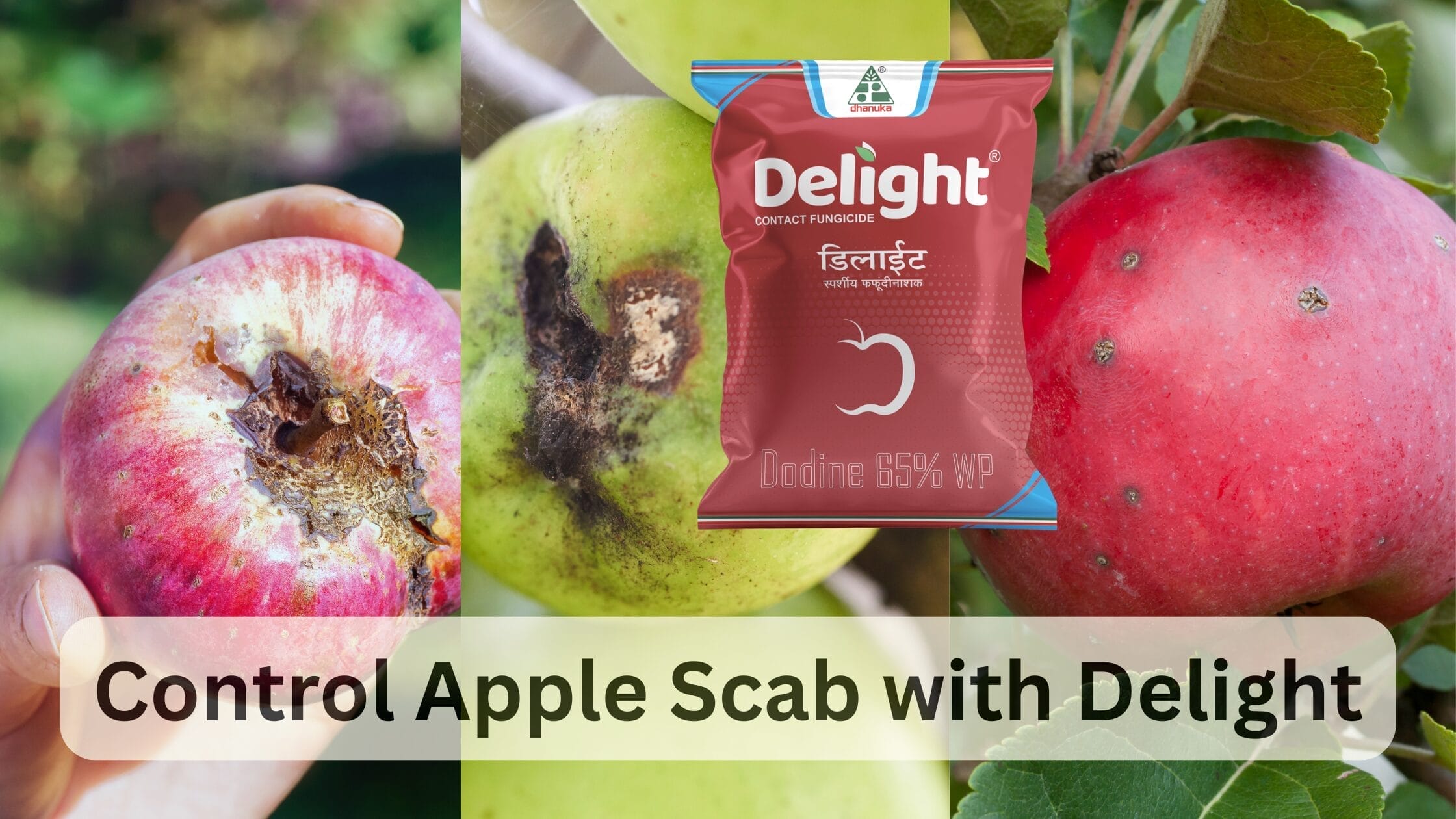 Control Apple Scab with Delight
