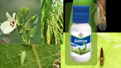 Admire Insecticide