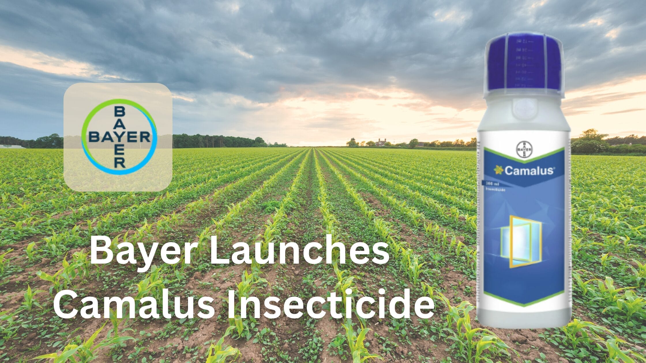 Bayer Introduces Camalus Insecticide