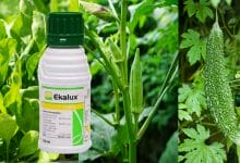 Ekalux Insecticide