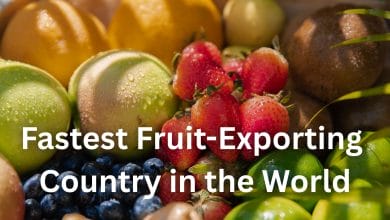 Fastest Fruit-Exporting Country in the World