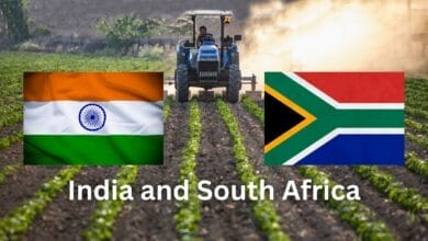 India south africa