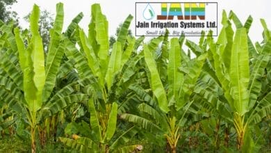 Jain Irrigation System (2)