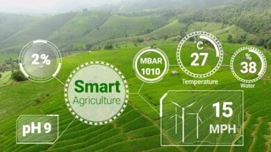 Smart Intelligent Village