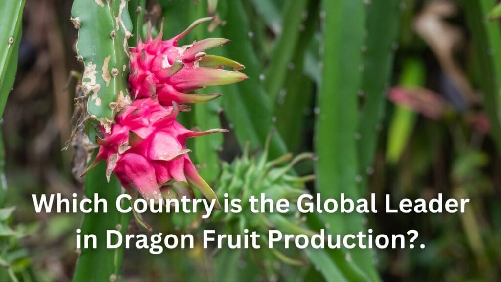 Which Country is the Global Leader in Dragon Fruit Production