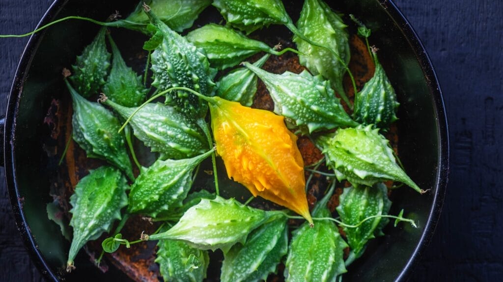 bitter gourd health benefits