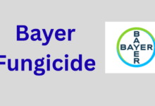 Bayer Fungicide