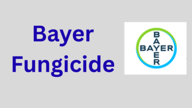 Bayer Fungicide