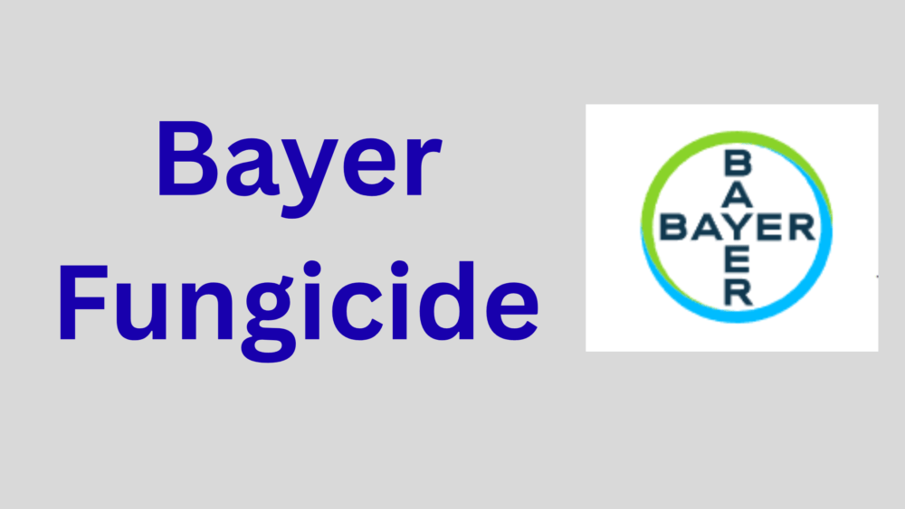 Bayer Fungicide