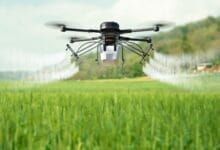 Drone spraying pesticides over crops