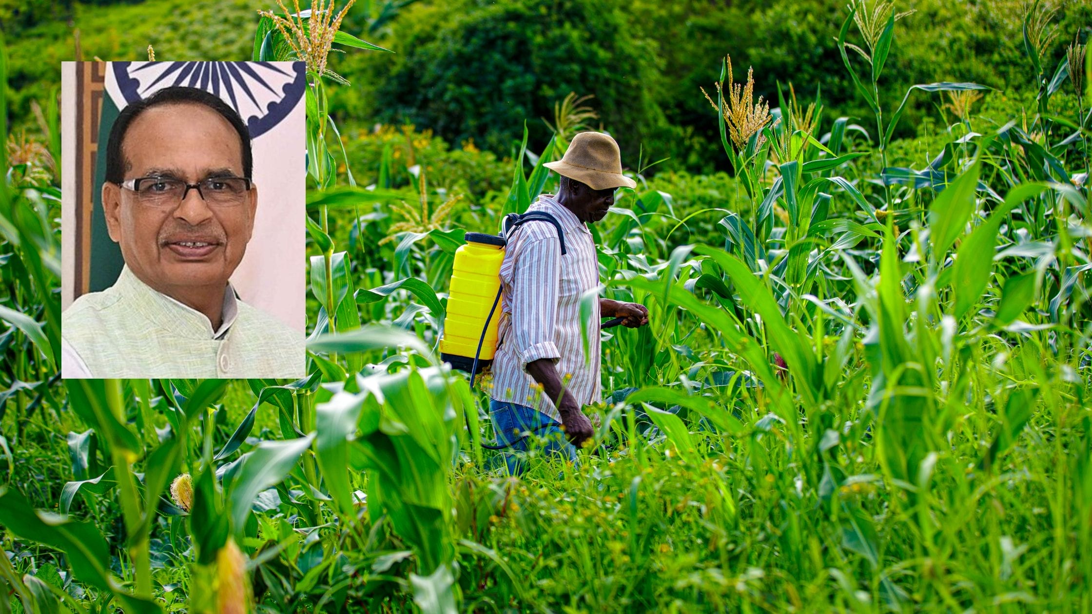 India Will Not Compromise Farmers' Interests in U.S. Trade Talks: Agriculture Minister