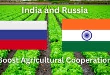 India and Russia Reaffirm Partnership to Boost Agricultural Cooperation