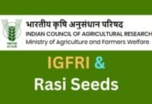 Rasi Seeds partners with ICAR-IGFRI