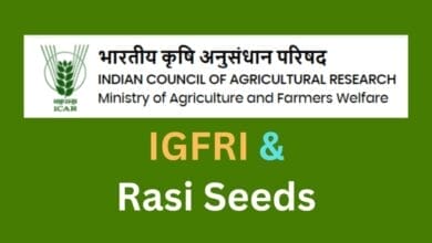 Rasi Seeds partners with ICAR-IGFRI