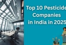 Top 10 Pesticide Companies in India in 2025