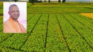 Uttar Pradesh Sets Bold Vision to Lead India in Agriculture by 2030, Join Global Leaders by 2047