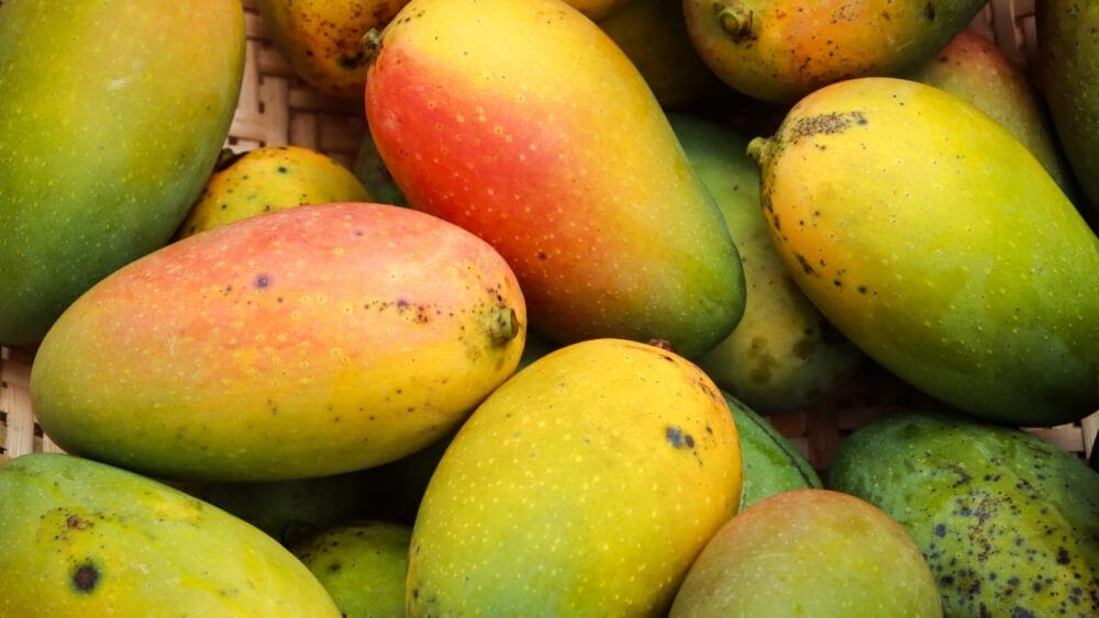 Why Mango is called the Bathroom Fruit
