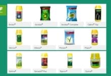 BASF Fungicide Products List