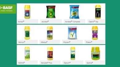 BASF Fungicide Products List