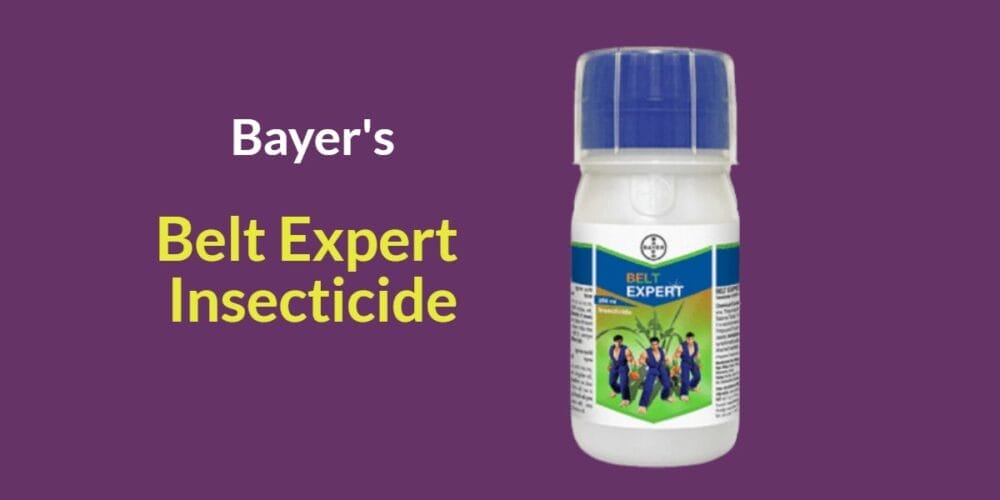 Belt Expert Insecticide