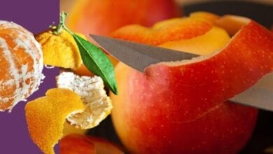 Fruit and Vegetable Skins