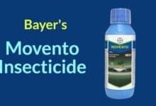 Movento Insecticide