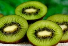 Skin Of A Kiwi