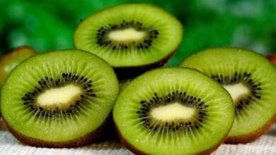 Skin Of A Kiwi