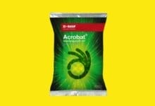 Acrobat® Fungicide