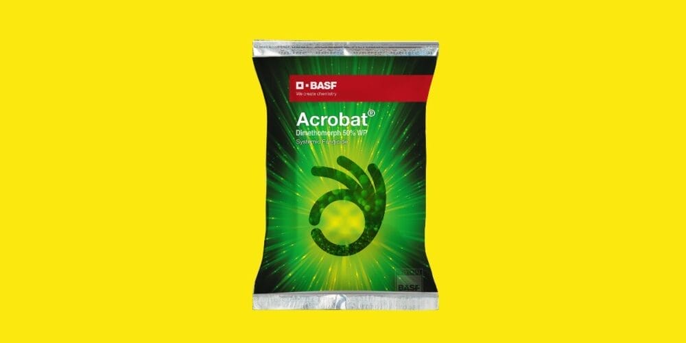 Acrobat® Fungicide