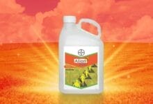 Bayer Alion Plus Herbicide