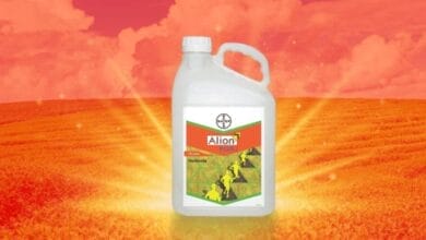 Bayer Alion Plus Herbicide